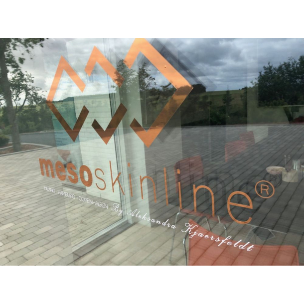 Mesoskinline-Logo f&uuml;r Fenster